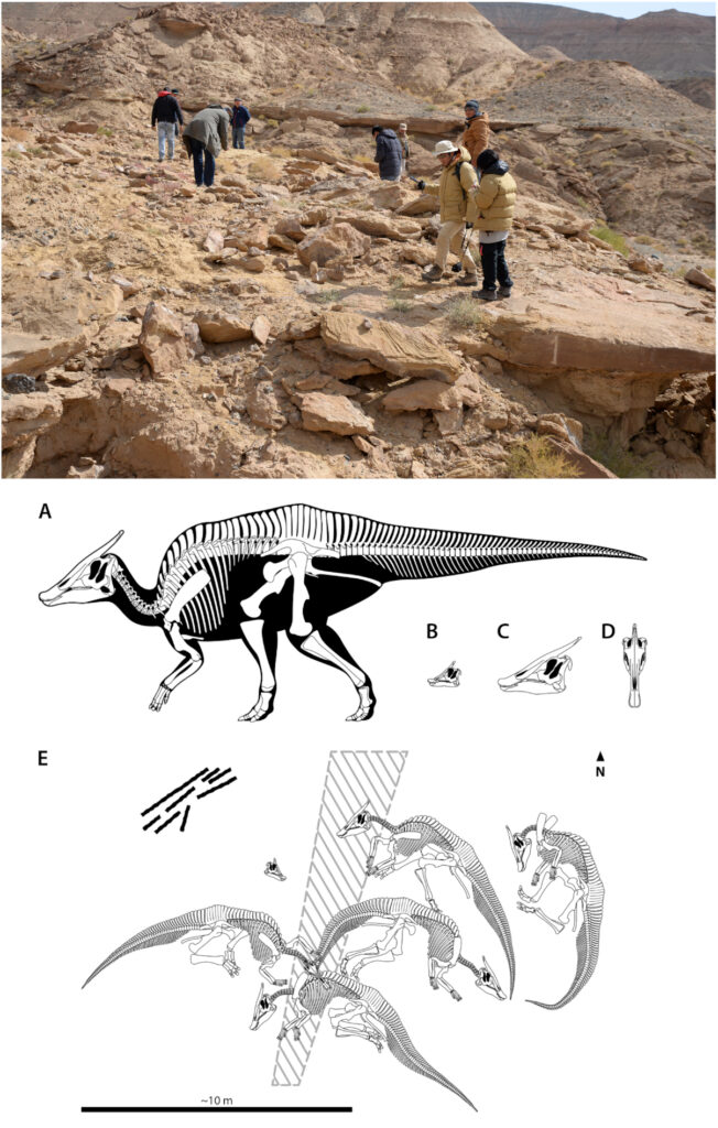 การตายของไดโนเสาร์